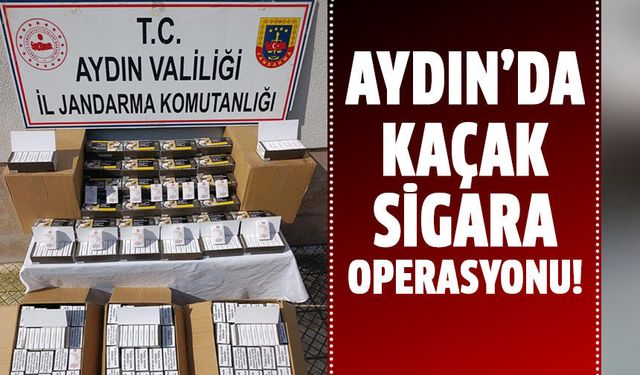 Aydın'da kaçak sigara operasyonu!