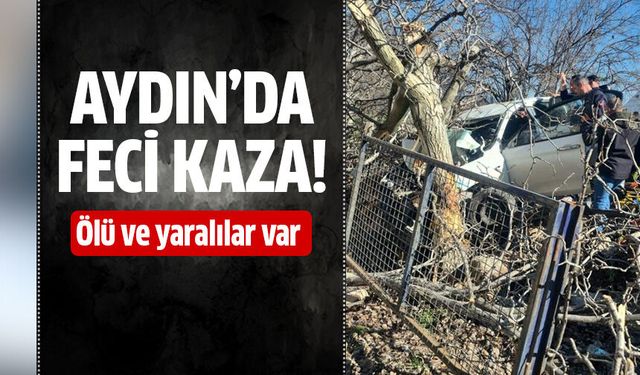 Bozdoğan'da feci kaza!