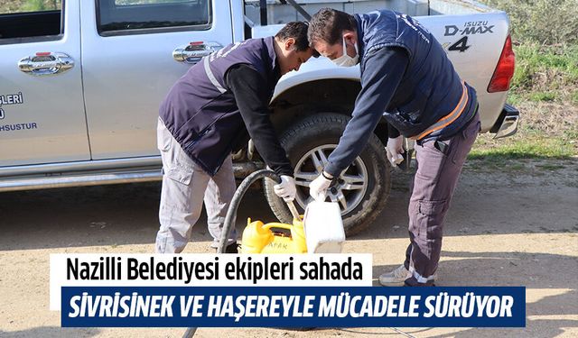 Nazilli Belediyesi sivrisinek ve haşereyle mücadeleye kesintisiz devam ediyor