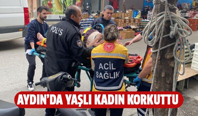 Ekipler yaşlı kadını kurtarmak için seferber oldu