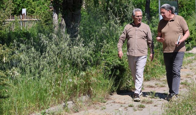 Tetik, sorumluları göreve çağırdı