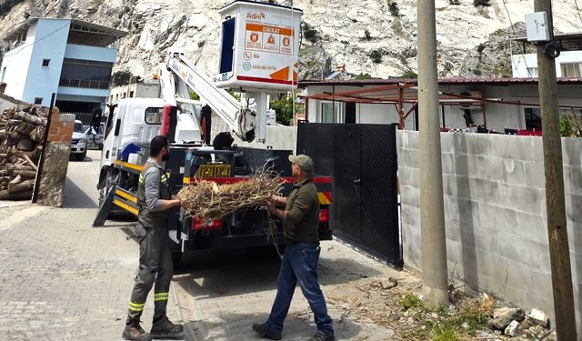 Sazlı’da leylekler yeni yuvasına kavuştu
