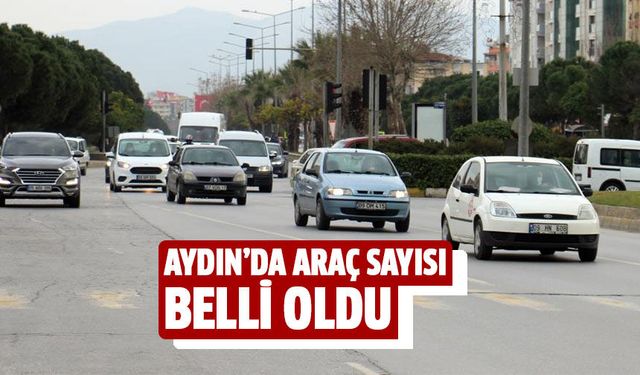 Aydın'da araç sayısı belli oldu!