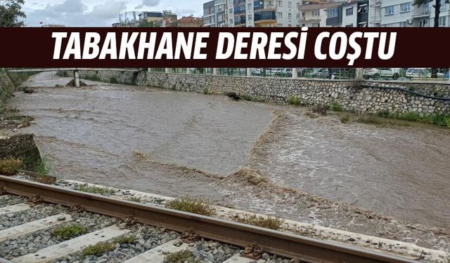 Yağmur suları dereyi coşturdu