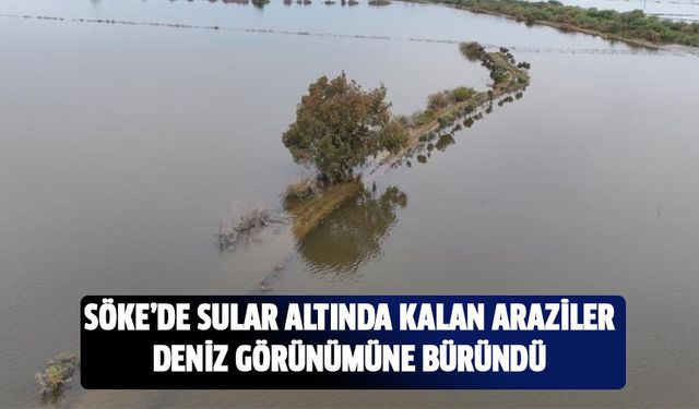 Sular altında kalan araziler deniz görünümüne büründü