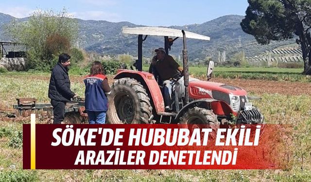Söke'de hububat ekili araziler denetlendi