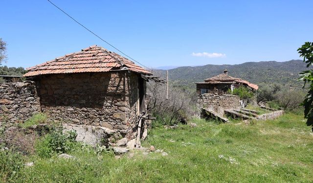 Bu köy savaş gördüğü için değil gençler terk ettiği için bu hale geldi