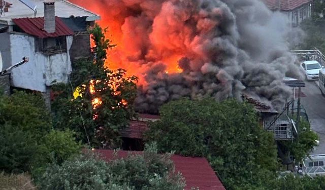 Bozdoğan'da ev yangını