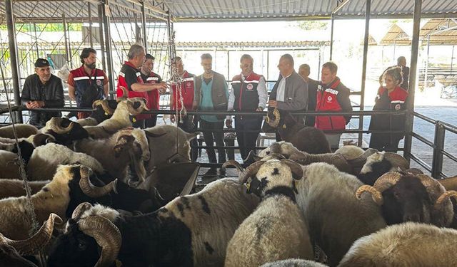 Aydın’da kurbanlık satış noktalarında kontrol yapıldı