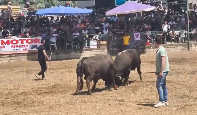 Binlerce kişi Ege kültüründe buluştu