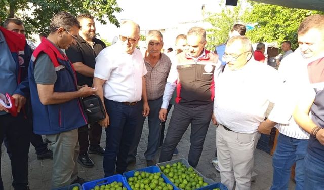 Aydın'da ilek pazarı denetimleri aralıksız sürüyor