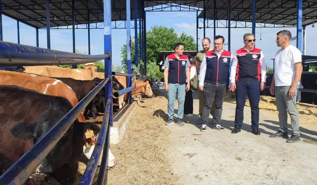 Kırsalda Bereket Hayvancılığa Destek Projesi ile Aydın’da üretim gücü artıyor