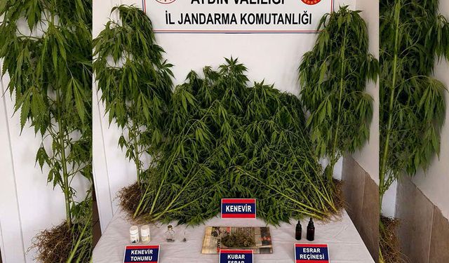 Nazilli’deki operasyonda yakalandı