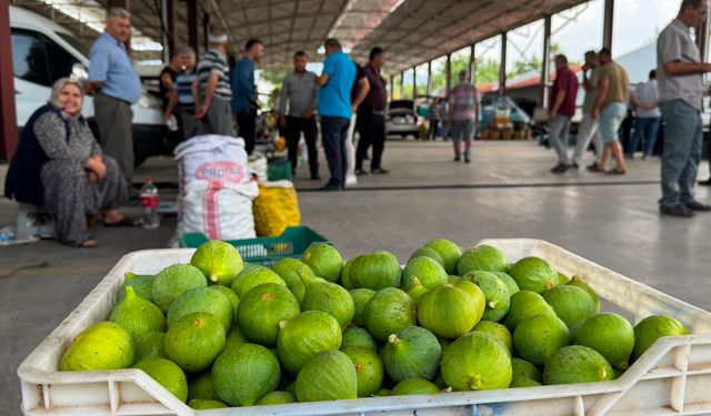 Nazilli’de ilek fiyatları çakıldı