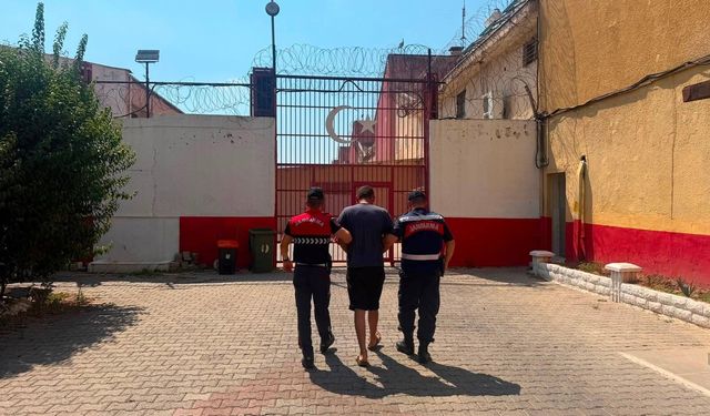 15 koyun evin bahçesinden çalındı