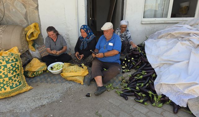 Ege'nin 'Patlıcan Vadisi'nden tüm dünya sofralarına