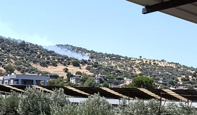 Bozdoğan'daki zirai alan yangını kontrol altına alındı