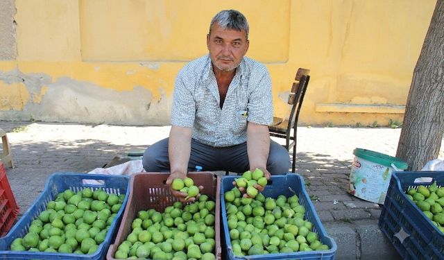 "Çalışmazsam ölürüm" diyerek gençlerin kolay para hevesini eleştirdi