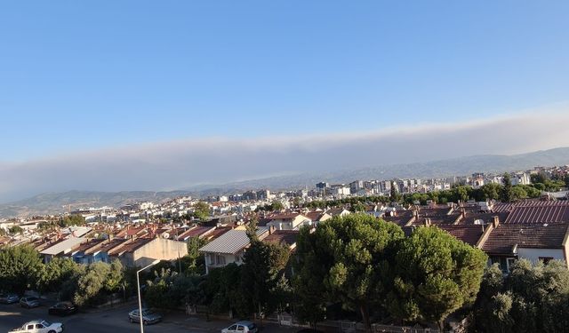 Çine yangının dumanları Efeler’e ulaştı
