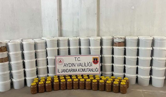 Köşk’te 3 milyon liralık sahte gıda operasyonu: 4 ton salça ve 300 kilo zeytin ele geçirildi