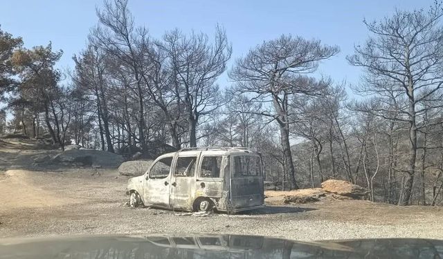 Çine'de yangın sonrası hasar tespit çalışmaları sürüyor