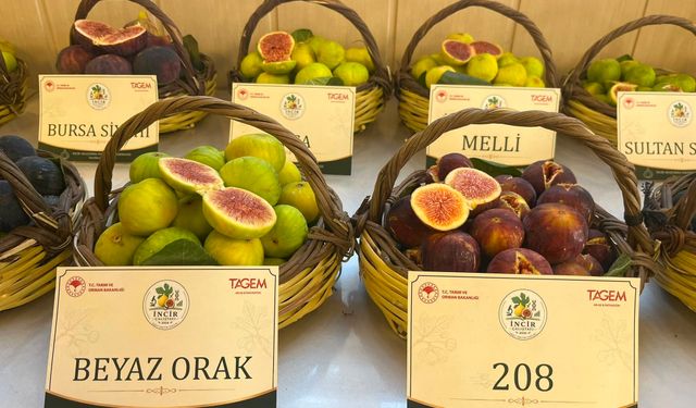 Aydın'a 100 milyonluk yatırım