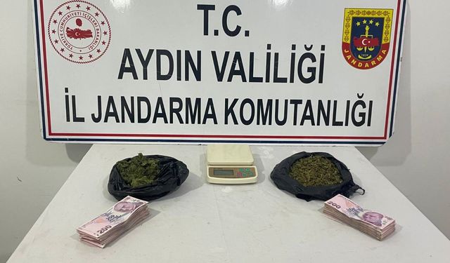 Nazilli'de operasyon: 2 gözaltı