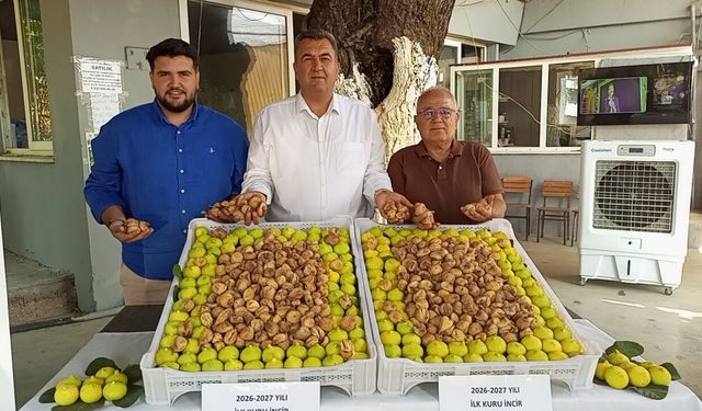 Gedikaltı'nda yeni incir sezonu sembolik alım töreniyle başladı