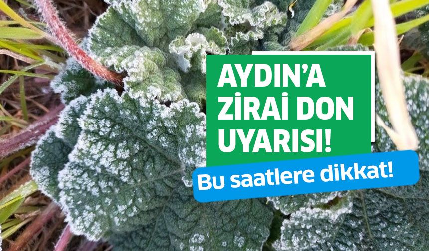 Aydın’a zirai don uyarısı