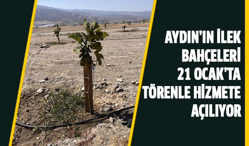 Aydın’ın İlek Bahçeleri 21 Ocak’ta törenle hizmete açılıyor