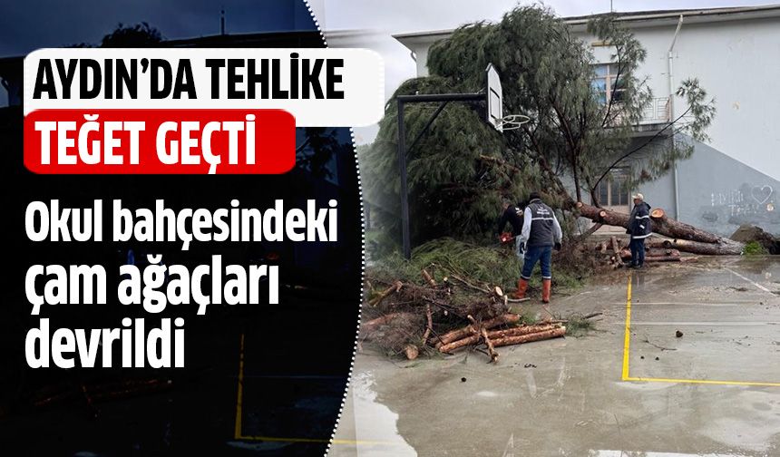 Aydın'da tehlike teğet geçti!