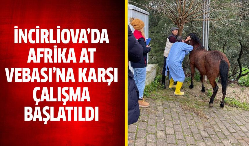 İncirliova’da Afrika At Vebası’na karşı çalışma başlatıldı
