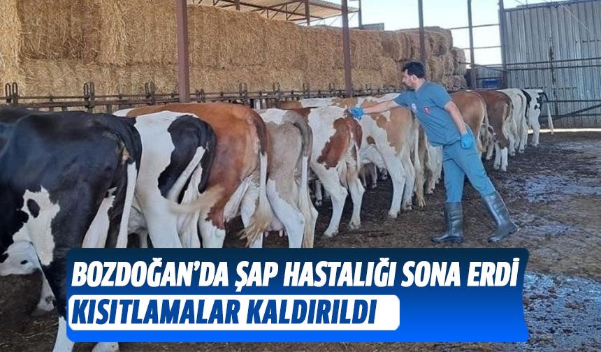 Bozdoğan’da Şap Hastalığı sona erdi