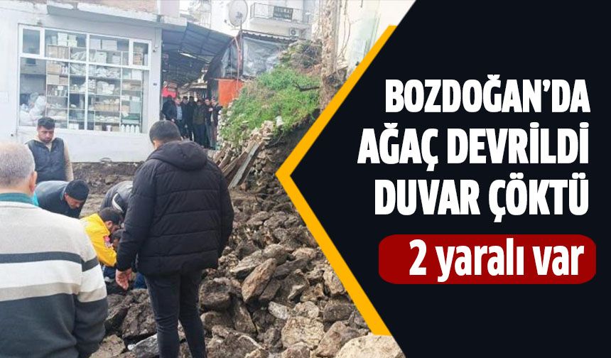 Bozdoğan’da ağaç devrildi, duvar çöktü!