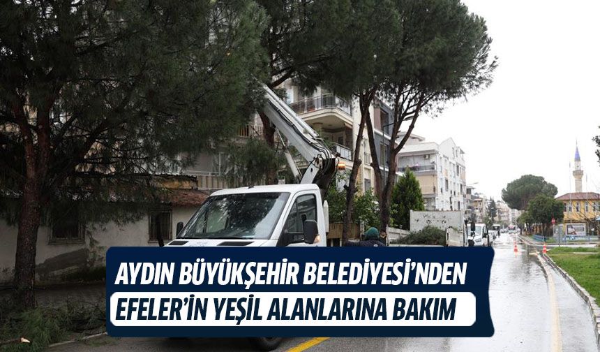 Aydın Büyükşehir Belediyesi’nden Efeler’in yeşil alanlarına bakım