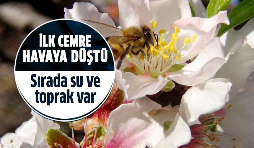 İlk cemre havaya düştü