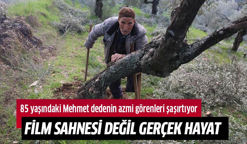 Film sahnesi değil gerçek hayat