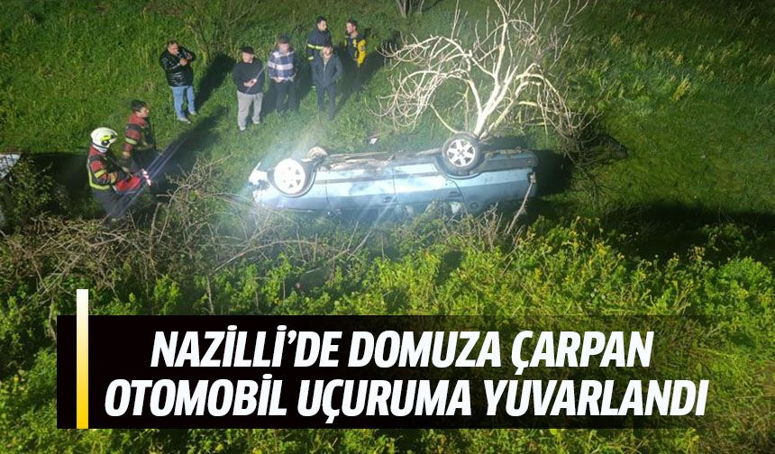 Nazilli'de domuza çarpan otomobil uçuruma yuvarlandı
