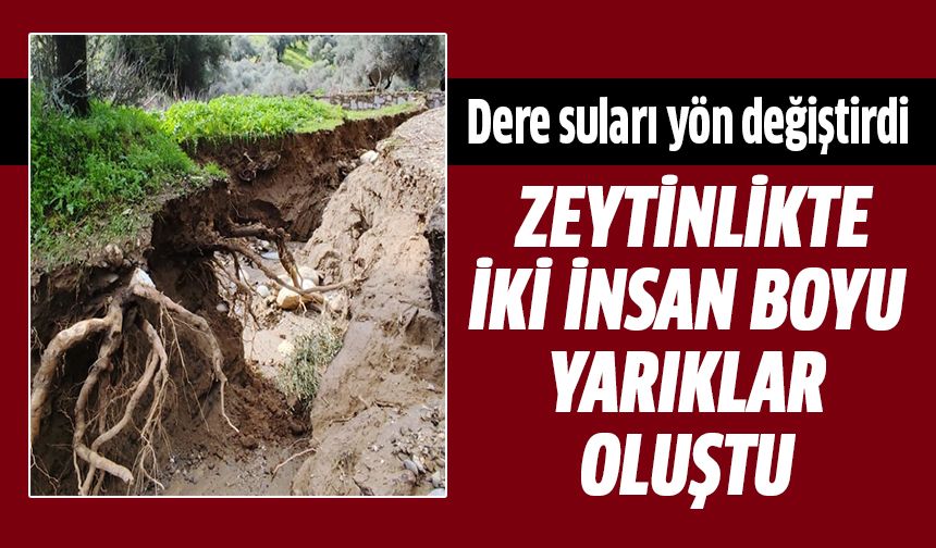 Aydın'da dere suları yön değiştirdi!