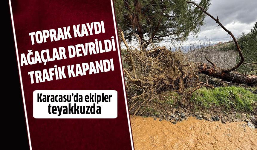 Karacasu'da toprak kaydı, ağaçlar devrildi