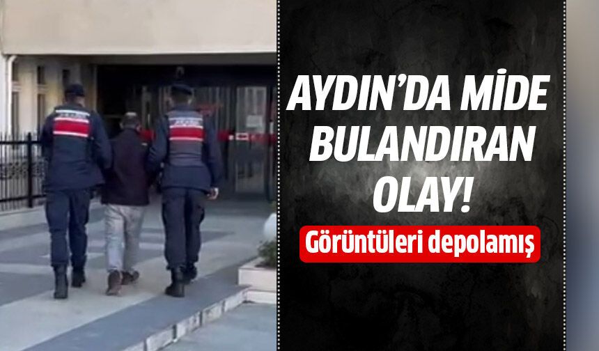 Aydın'da mide bulandıran olay!