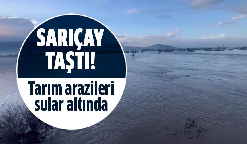 Sarıçay taştı! Tarım arazileri sular altında