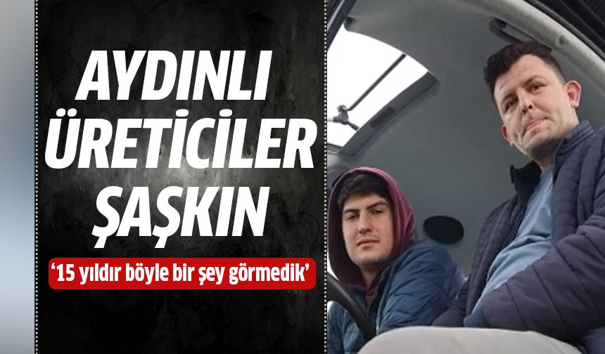 Aydınlı üreticiler şaşkın!