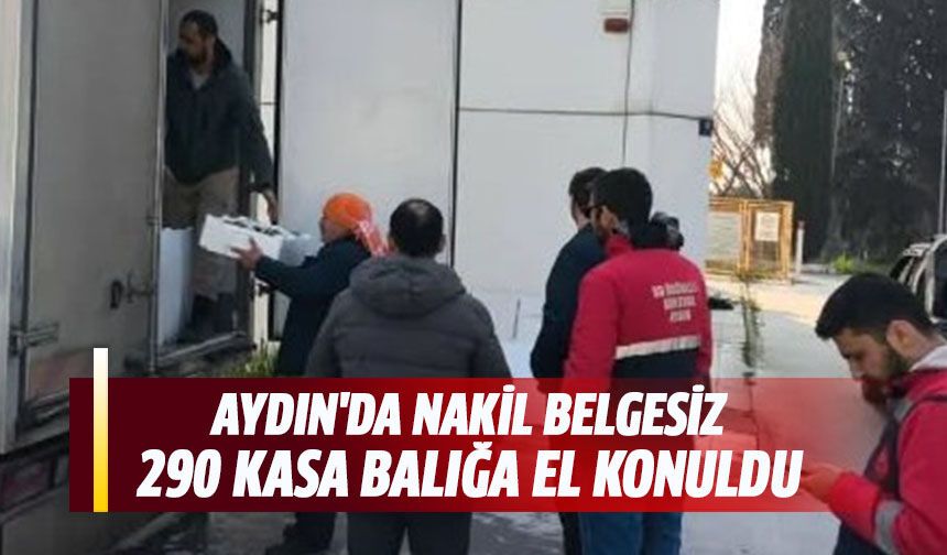 Aydın'da nakil belgesiz 290 kasa balığa el konuldu
