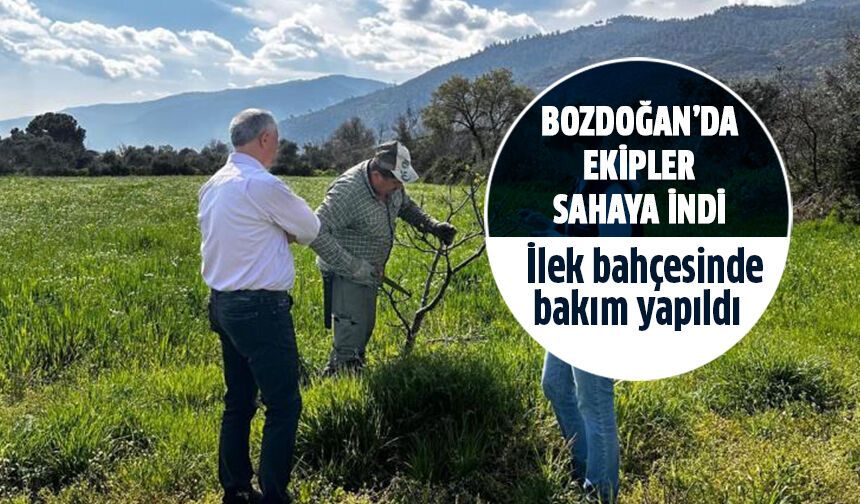 Bozdoğan'da ilekler emin ellerde!