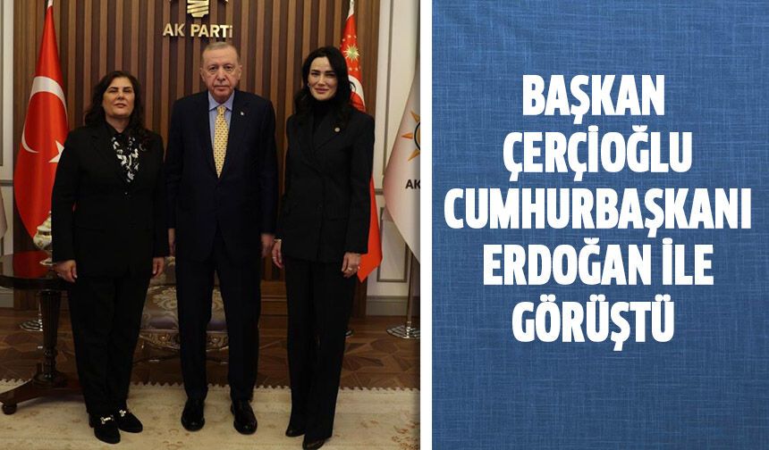 Başkan Çerçioğlu, Cumhurbaşkanı Erdoğan ile görüştü