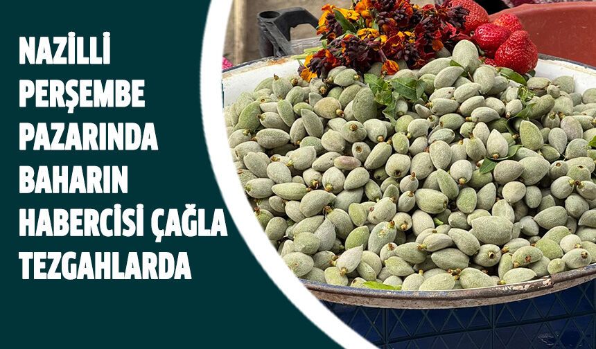 Nazilli Perşembe Pazarında baharın habercisi çağla tezgahlarda