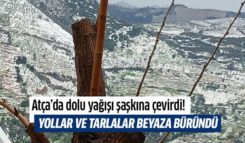 Atça’da dolu yağışı şaşkına çevirdi!