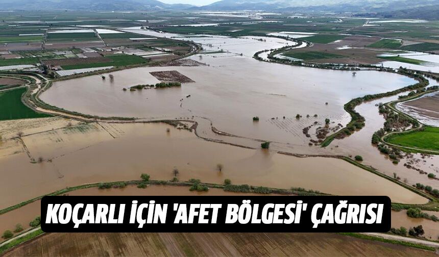 Koçarlı için 'afet bölgesi' çağrısı