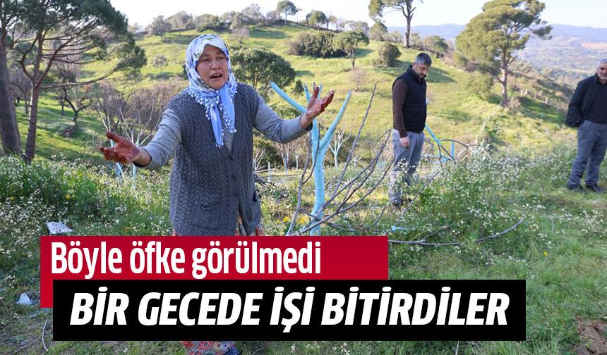 Böyle öfke görülmedi!